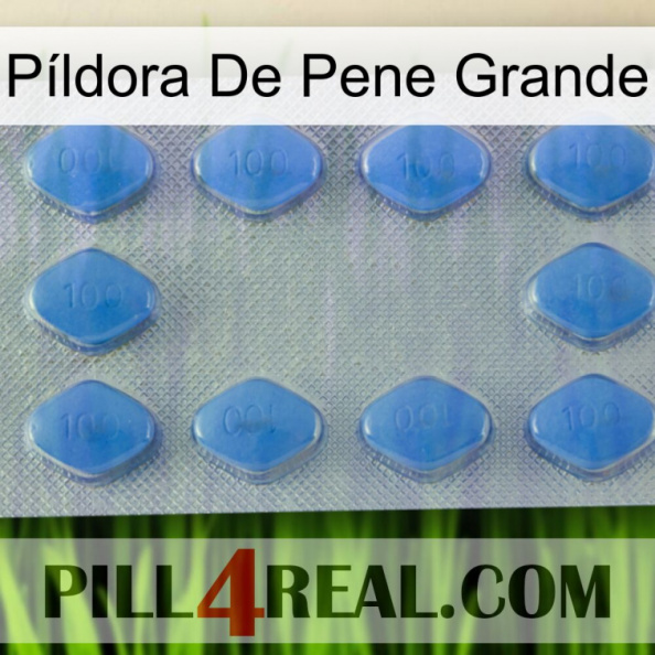 Píldora De Pene Grande 21.jpg